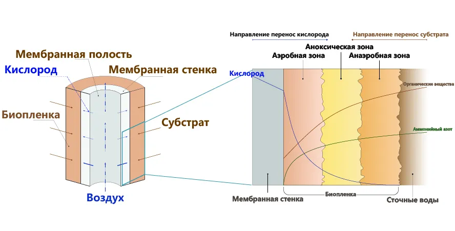 dym1-1